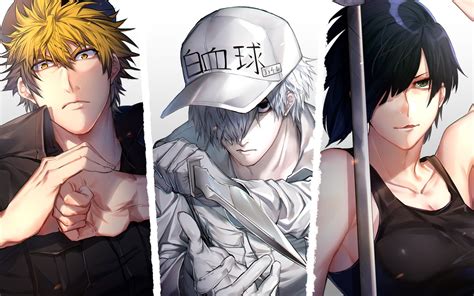 Anime Cells At Work Wallpapers Wallpaper Cave