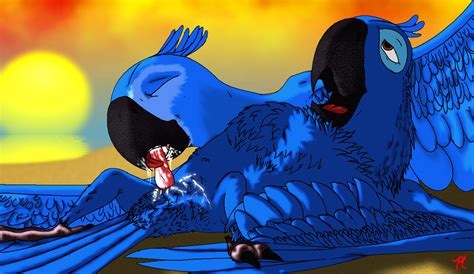 Rule 34 Avian Bird Blu Rio Feathers Female Jewel Rio Macaw Male