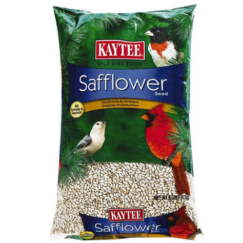 The high oil content offers great energy. Safflower Seed : Wild Bird Seed | Premium Bird Food | Kaytee