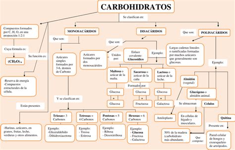 Mapas Conceptuales De Los Carbohidratos Descargar