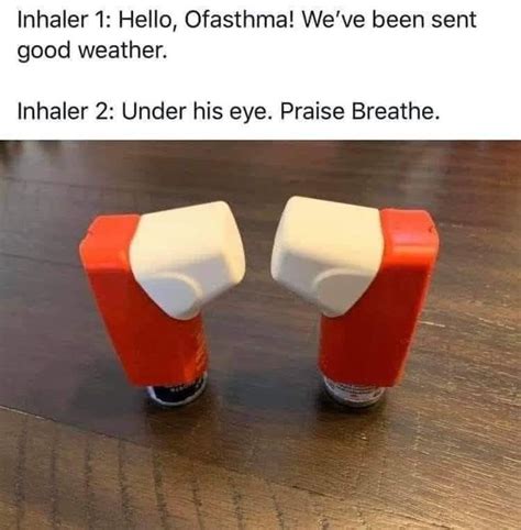 Pin By Laurie Braslins On Memes Decor Inhaler