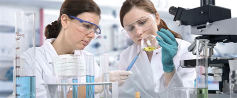 It also generally means that the research has a theoretical or. Scientists reveal study that utilizes lab rats to help ...