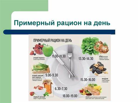 Питание спортсменов диеты Здоровое питание – залог успеха спортсмена - online presentation Здоровое питание – залог успеха спортсмена - online presentation Питание спортсменов диеты