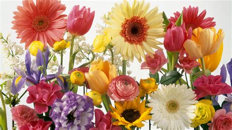 47 Free Spring Flowers Wallpaper Desktop Wallpapersafari