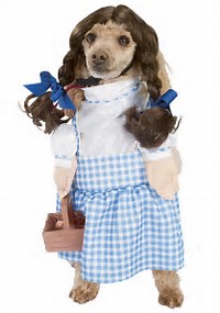Image result for pet costumes
