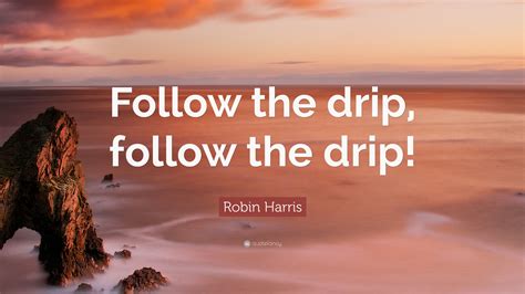 Robin Harris Quote Follow The Drip Follow The Drip