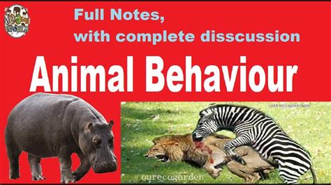 Animals Behaviour Full Notes Bsc Notes Youtube