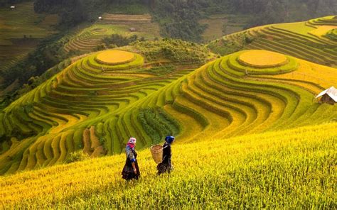 Chinas 5 Most Beautiful Rice Terraces — Longji Yuanyang