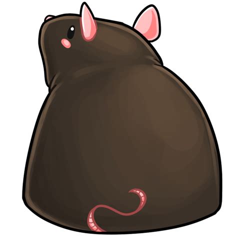 Free Beautiful Black Rat 21819275 Png With Transparent Background