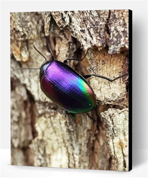 Aesthetic Purple Beetle Insect Paint By Numbers Paint By Numbers Pro