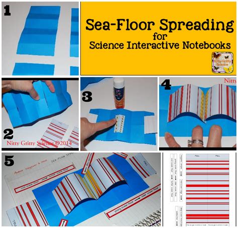 Seafloor Spreading Plate Tectonics Worksheet Floor Roma