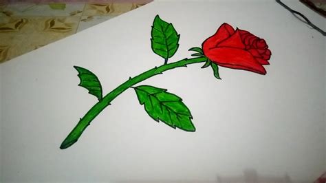 Cara Menggambar Dan Mewarnai Bunga Mawar Dengan Spidol Youtube