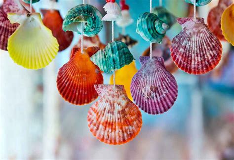 10 Easy Diy Seashell Crafts And Activities For Children