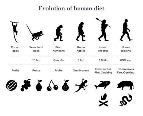 The Keto Diet And Human Evolution Dr Robert Kiltz