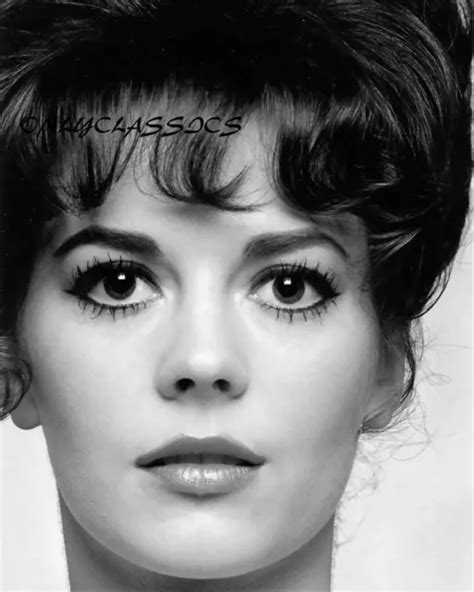 Beautiful Sexy Hot Actress Natalie Wood 8x10 Bandw Portrait Photo Pinup