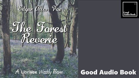 The Forest Reverie By Edgar Allan Poe Full Audiobook 📖 Youtube