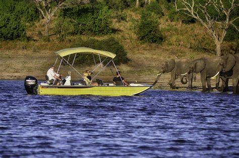 Boat Cruise Chobe National Park Tlouwana Camp