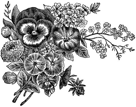 Free Flowers Black And White Clipart Download Free Flowers Black And