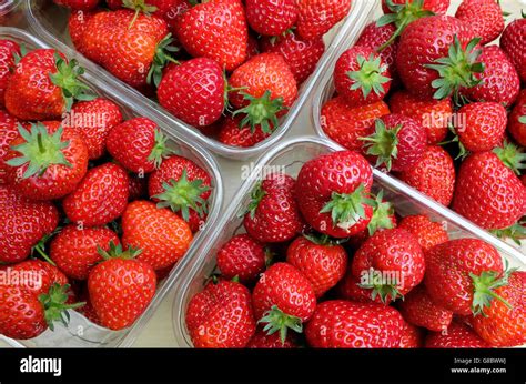 Plastic Containers Stock Photos And Plastic Containers Stock Images Alamy