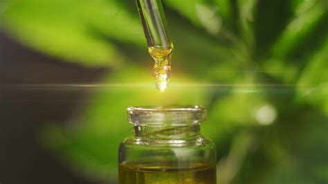 The Comprehensive Guide To High Potency Cbd Oil Ministry
