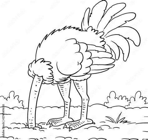 Ostrich Burying Its Head In The Moist Sand Stock Vector Adobe Stock