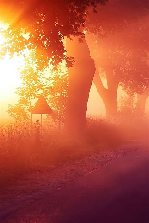 640x960 Sun Rays Mist Road 4k Iphone 4 Iphone 4s Hd 4k Wallpapers