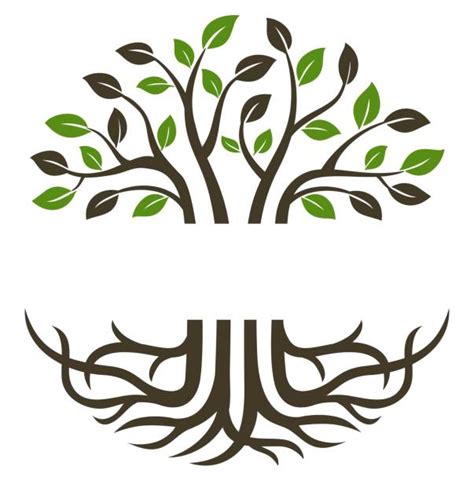 Tree Roots Illustrations Royalty Free Vector Graphics And Clip Art Istock