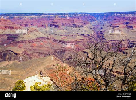 Arizona Grand Canyon National Park Yavapai Point Stock Photo Alamy