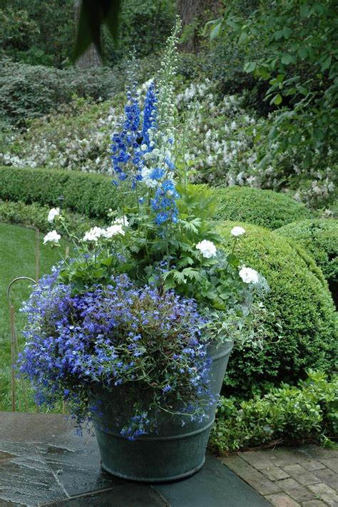 Plant Combinations For Containers Hgtv Plant