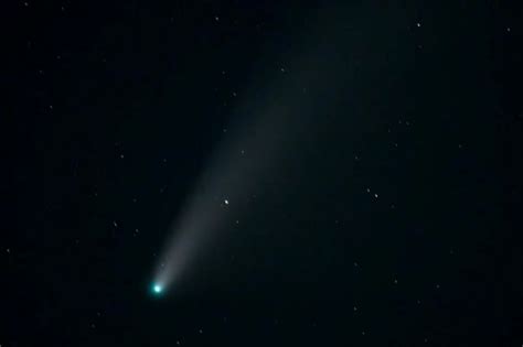 The View Of A Lifetime Look Up To See Neowise Comet The Buzz Magazines
