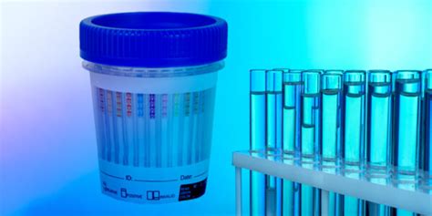 What Is On A 12 Panel Drug Test Drugtestkitusa