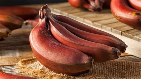 6 Red Banana Health Benefits You Wouldnt Know About Ndtv Food