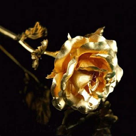 Rosas Gold Everything All That Glitters Is Gold Or Noir Gold