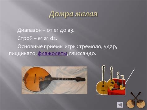 Презентация "История домры" (9 класс) по музыке – скачать проект