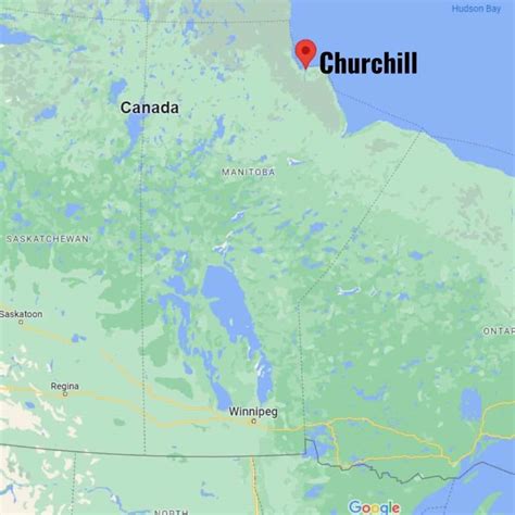 The Complete Guide For Visiting Churchill Manitoba Updated 2023