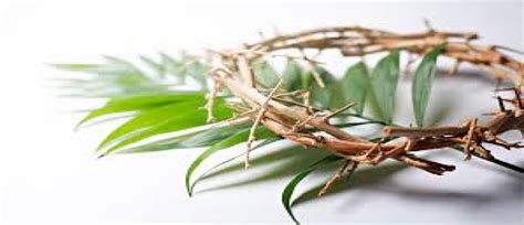Palm Sunday 10 Am Blessing Of The Palms And Spiritual Communion Via