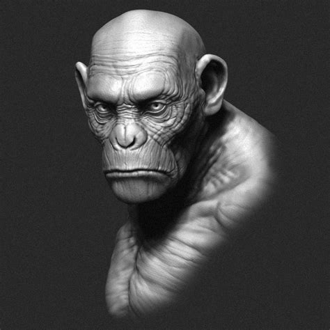 Printable Ape Bust Sculpture 3d Model