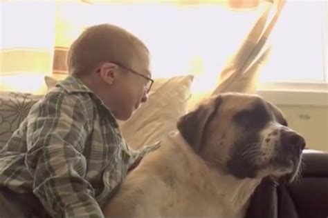 This Story Of A Boy And His Dog Will Melt Your Heart