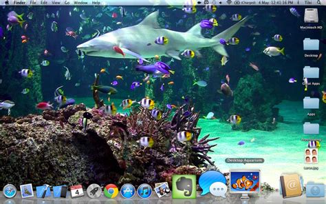 49 Free Live Fish Aquarium Wallpaper Wallpapersafari