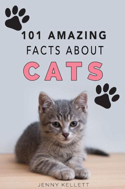 Cats 101 Amazing Facts About Cats Cat Books For Kids By Jenny Kellett