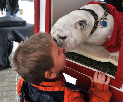 Bulldog Kissing Booth Returns To The Promenade Mar 14 The Sun Newspapers