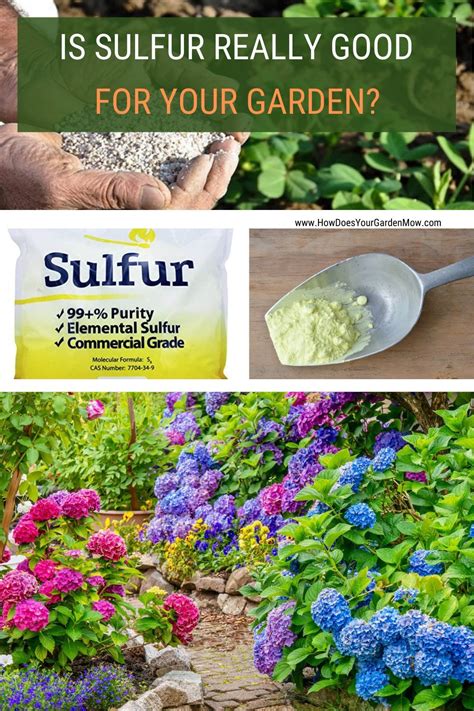 Should You Use Sulfur In Your Garden Garden Care Healthy Garden
