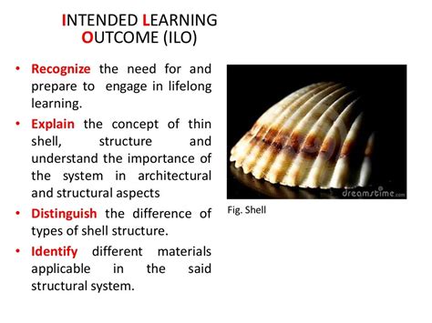 Shell Structure Basic Concept