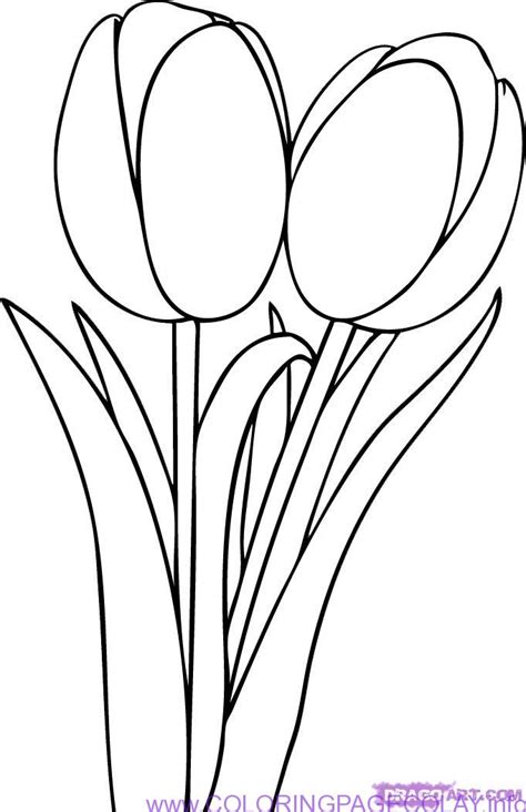 Tulips Outline Clipart Best