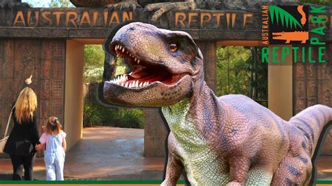 Dinosaurs At The Zoo Australian Reptile Park Youtube