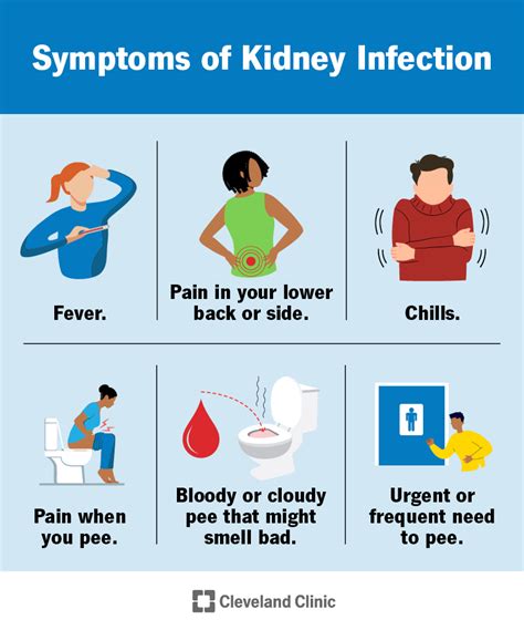 Kidney Infection Pyelonephritis Symptoms Treatment