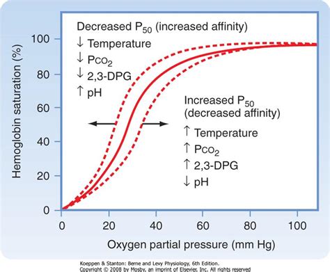 • oxygen dissociation curves show the affinity of haemoglobin for oxygen. Cardiopulmonary Exam #3 Flashcards | Easy Notecards