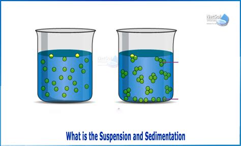 What Is The Suspension And Sedimentation Netsol Water