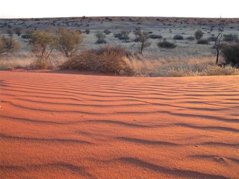 Kalahari Dunes Namibia Frank Vassen Flickr