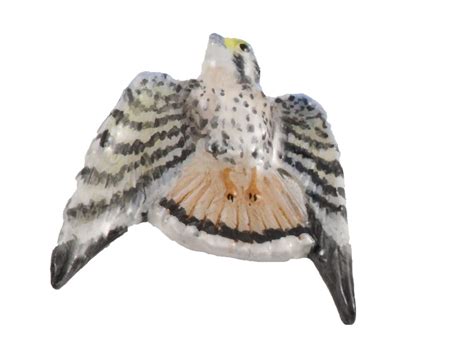 Creative Pewter Designs Kestrel Bird Pewter Lapel Pin Brooch Etsy